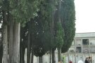 Música al cementiri en el dia de Tots Sants
