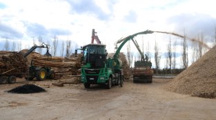 La sequera incrementa la producció de biomassa a les comarques gironines per la necessitat de retirar arbres morts