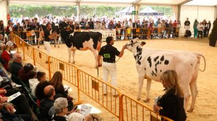 La Fira Comarcal de Primavera de Campllong arriba a la 40a edició 