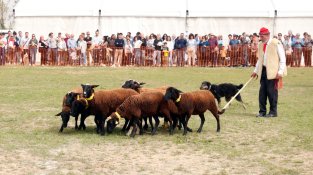 La Fira Comarcal de Primavera de Campllong tanca l'edició del 40è aniversari superant els 34.000 visitants