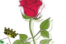 Setmana cultural de Sant Jordi
