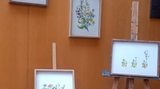 S'inaugura a Cassà el Talent Promoció del Gironès