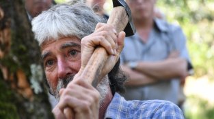 La pela del suro i l'esmorzar a bosc obren el diumenge de la Fira del Tap