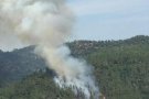 Un incendi crema 1,5 hectàrees de les Gavarres a Quart