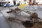 Es canvien la trentena d'arbres de la plaça de la Coma