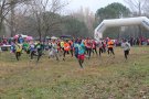 Bons resultats dels atletes de la Colla atletisme Cassà