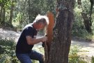 Josep Roca, sommelier d’El Celler de Can Roca, donarà el tret de sortida a la Fira del Tap 2017