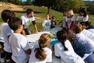 Primera Acadèmia per formar nous Ambaixadors per la Justícia Climàtica