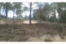 Actuacions per la prevenció d'incendis forestals durant l'any 2017