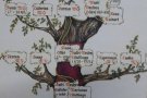 Curset sobre com fer un arbre genealògic