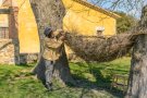 Can Vilallonga és un dels escenaris de la Trobada Internacional Art i Gavarres