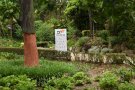 Presenten la Fira del Tap pelant un suro de la Devesa de Girona
