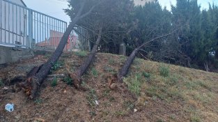 Arbres caiguts al circuit de bicicletes del Cassà Bike
