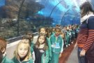 Educació infantil, a l'Aquàrium