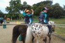 Activitats de juny 2013: els d'educació infantil a can Comas