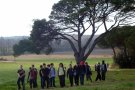 Primer d’ESO. Treball de Síntesi: Jornada de mobilitat