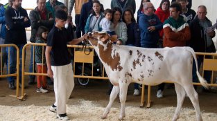 Arrenca la 41 edició de la Fira Comarcal de Primavera de Campllong 