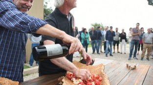 Acte de presentació de la vuitena Fira del Tap i el Suro