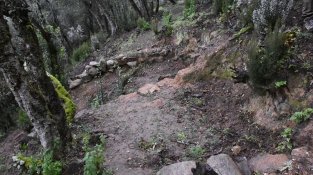 El jaciment ib¡eric del Puig Castellar