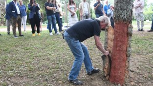 Demostració de la pela del suro a càrrec d'Eloi Madrià
