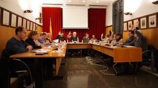 Un moment del ple d'aquest mes de gener