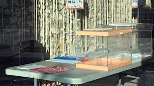 Comença amb normalitat la joranada electoral