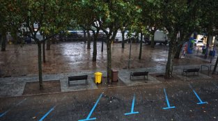 El mercat d'avui ha estat molt poc concorregut de parades i compradors per culpa de la pluja del matí