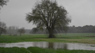 La resclosa de Verneda, desbordada aquest matí
