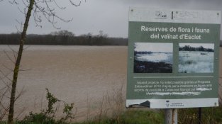 Els parts de dall d'Esclet, curulls d'aigua