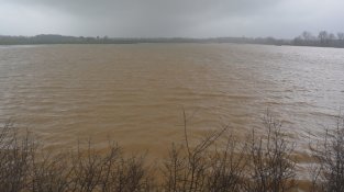Un dels camps inundats prop de la riera Verneda