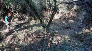 El Consorci de les Gavarres recupera algunes zones afectades per la tempesta Glòria