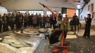 Lídia Masllorens obre el seu taller