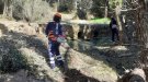 El Consorci de les Gavarres recupera algunes zones afectades per la tempesta Glòria