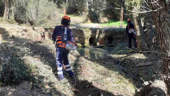 Treballs fets pel Consrci de les Gavarres