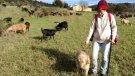 El Consorci de les Gavarres habilita un espai web per promocionar els productors locals