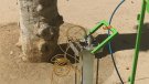 Tractament d'endoteràpia als plataners del passeig Vilaret