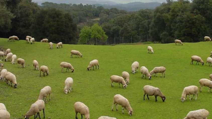 El Consorci de les Gavarres aprova un pressupost de 646.000 € pel 2021