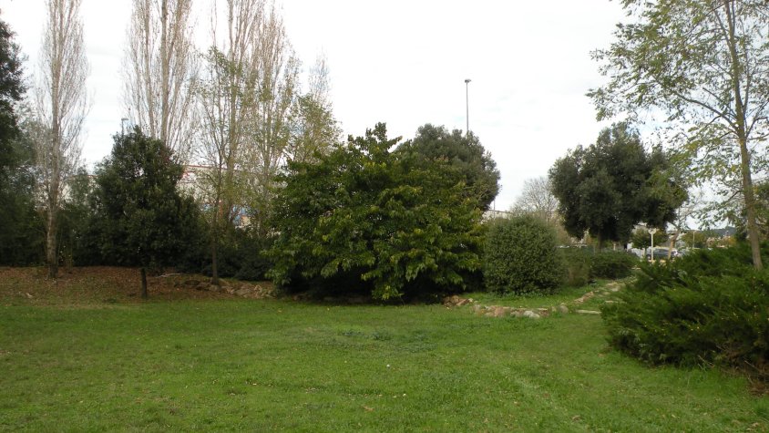 El nou parc del surolí