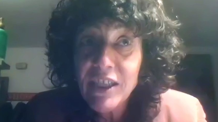 La cap de llista d'Esquerra, Teresa Jordà, durant el míting telemàtic.