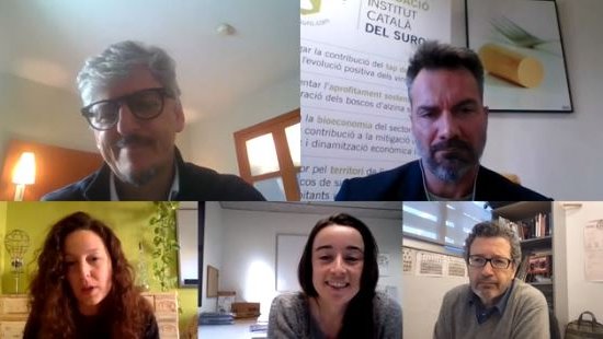Un moment del lliurament de la beca, acte fet telemàticament