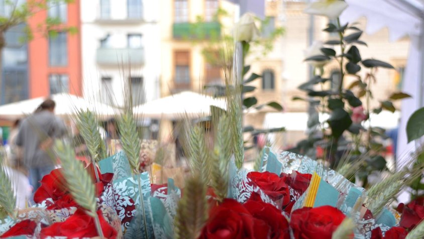 Diada de Sant Jordi sense parades al carrer a Cassà
