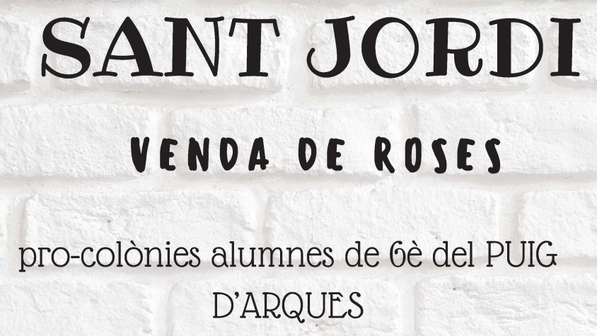 Venda de roses al pati de l'escola Puig d'Arques