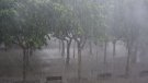 La pluja fa ajornar els actes de tarda i vespre de la Festa de Cassà