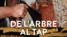Comença la tercera edició de l'experiència surera 
