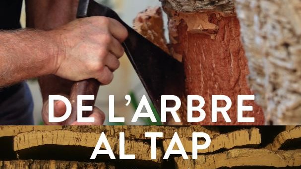 Comença la tercera edició de l'experiència surera "De l'arbre al tap, del tap a taula"