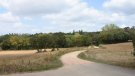 Arranjaran dos camins veïnals de Cassà