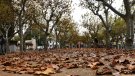 La veu del silenci