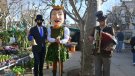 La Dona dels nassos torna a sortir avui al carrer
