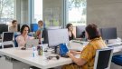 La Fundació Eurofirms genera 1.445 insercions laborals per a persones amb discapacitat 