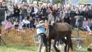La Fira Comarcal de Primavera de Campllong torna a ser una gran festa 